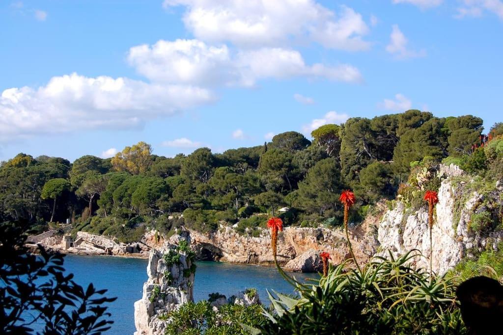 Ravissant Studio Au Coeur Du Vieil Antibes Eksteriør billede